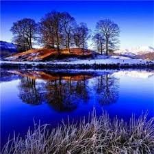 بسمہ معروف avatar