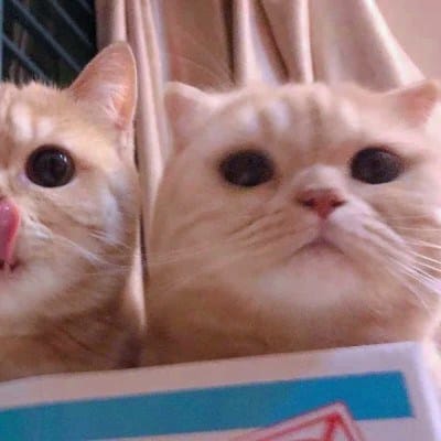 ساجد خان avatar