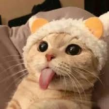 علی رضا avatar