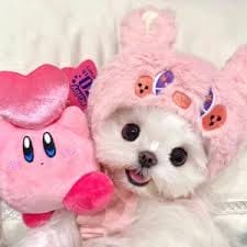 فرحان یوسف avatar